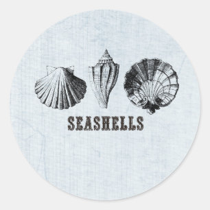 Sticker Rond Coquillages vintages