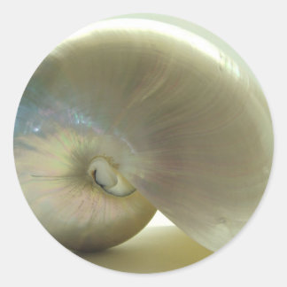 Sticker Rond Coquille n° 1