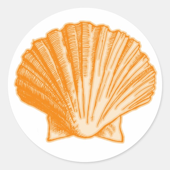 Sticker Rond Coquille tropicale de la mer d'Orange Protea (Devant)