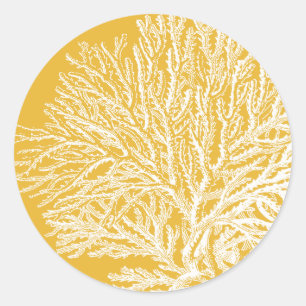 Sticker Rond Corail jaune et blanc