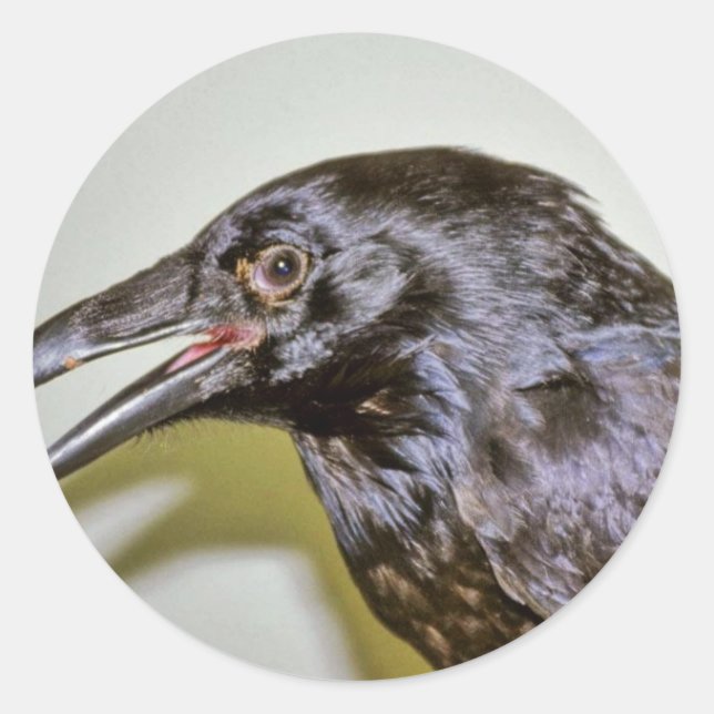 Sticker Rond Corbeau (Devant)