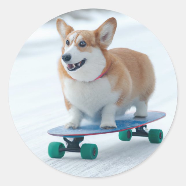 Sticker Rond Corgi fun skateboard (Devant)
