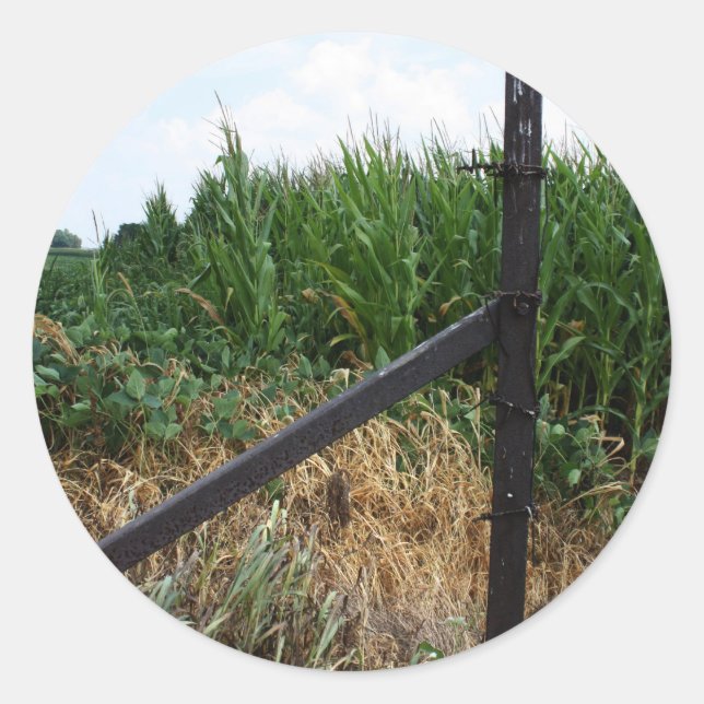 Sticker Rond Cornfield Derrière La clôture (Devant)
