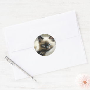 Sticker Rond Cosy Companion Siamese Kitten