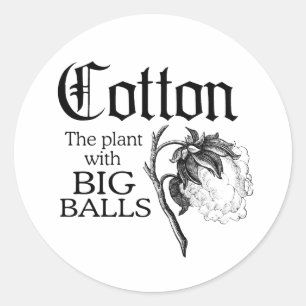 STICKER ROND COTON LA PLANTE AUX GROSSES BOULES