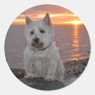 Sticker Rond Coucher de soleil de Westie