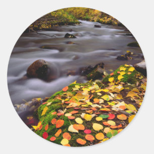 Sticker Rond Couleurs d'automne le long de McGee Creek