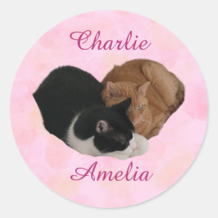 Sticker Rond Couple de chats Vos Noms