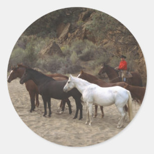 Sticker Rond Cowboy avec troupeau