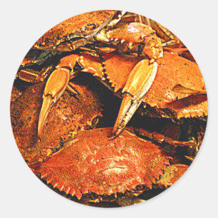 Sticker Rond Crabes durs du Maryland à vapeur
