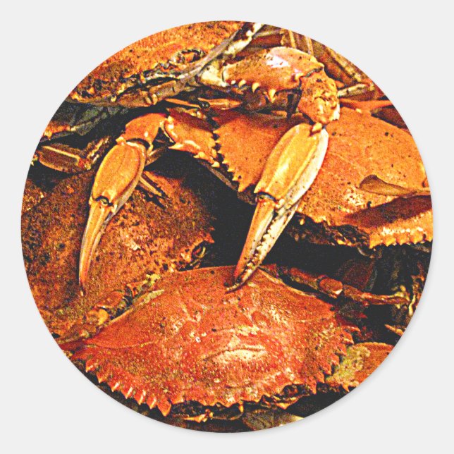 Sticker Rond Crabes durs du Maryland à vapeur (Devant)