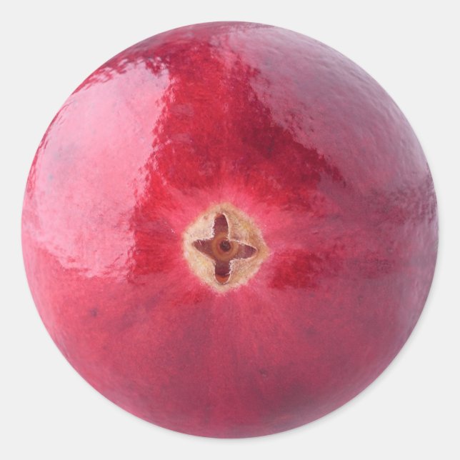 Sticker Rond Cranberry (Devant)