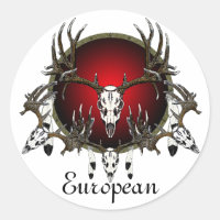 Crâne de cerf européen