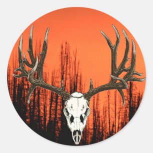 Sticker Rond Crâne de cerfs communs de mule
