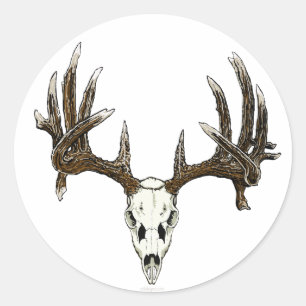 Sticker Rond Crâne de mâle de Whitetail