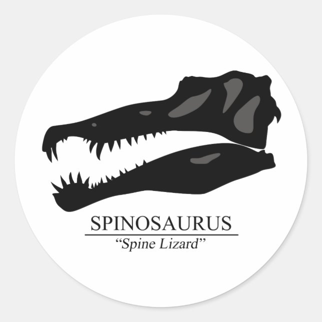 Sticker Rond Crâne de spinosaurus (Devant)