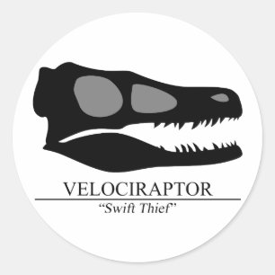 Sticker Rond Crâne de Velociraptor