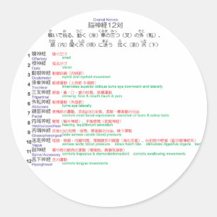 Sticker Rond Cranial Nerves japanese 12