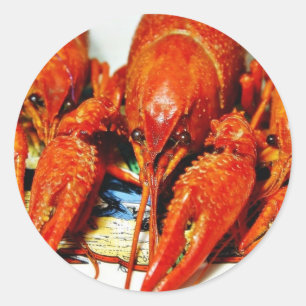 Sticker Rond Crawfish Crawdads Éclair