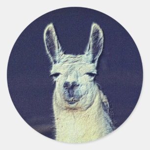 Sticker Rond Crayon visage Llama