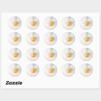 Sticker Rond Craze Dollar De Sable