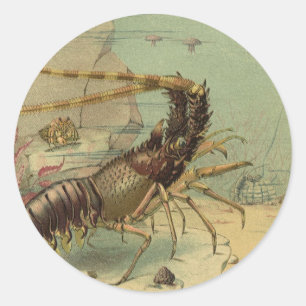 Sticker Rond Crevettes, Vie sous-marine, Animaux de l'océan vin