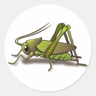 Sticker Rond Cricket vert