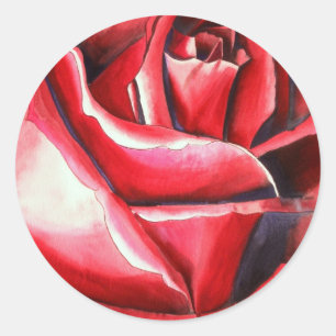 Sticker Rond Crimson Red Rose Original watercolor art
