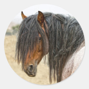 Sticker Rond Crinière de cheval