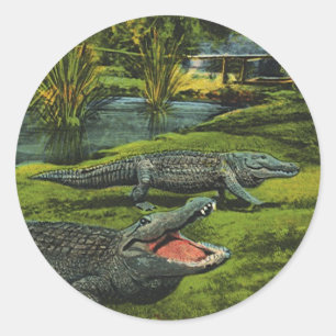 Sticker Rond Crocodiles, Animaux Reptiles de la Vie Marine Vint