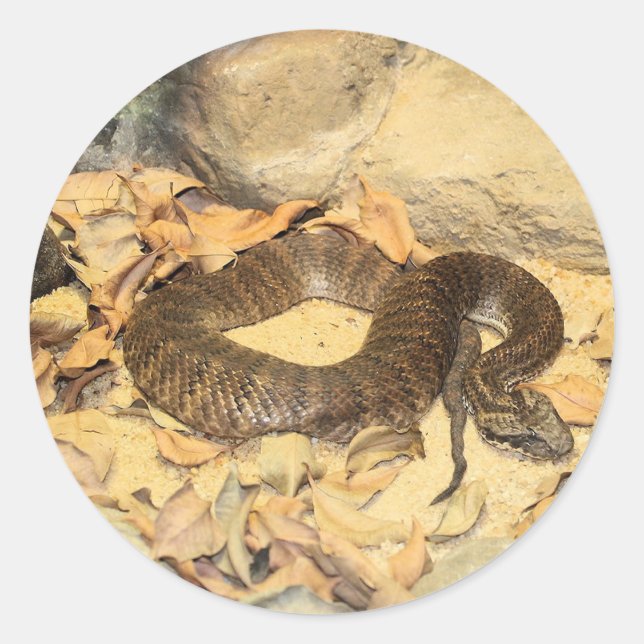 Sticker Rond Crotte (Devant)