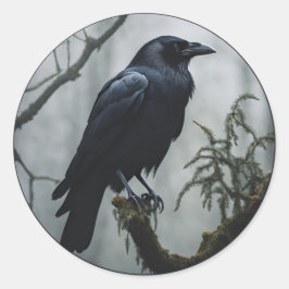 Sticker Rond Crow dans un arbre