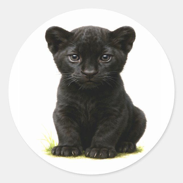 Sticker Rond Cube panthère noire avec grands yeux (Devant)
