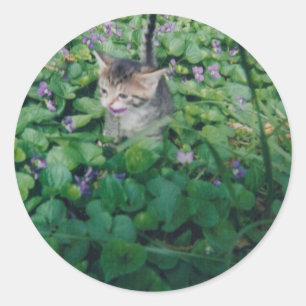 STICKER ROND CUISINE AVEC SOURIRE VIOLET