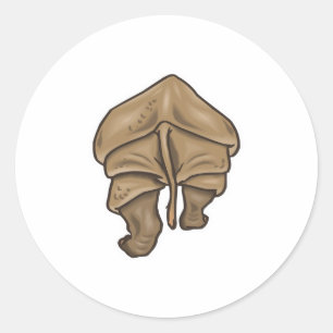 Sticker Rond cul rhinocéros