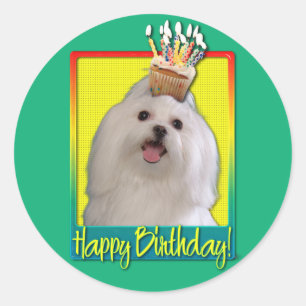 Sticker Rond Cupcake d'anniversaire - Maltais