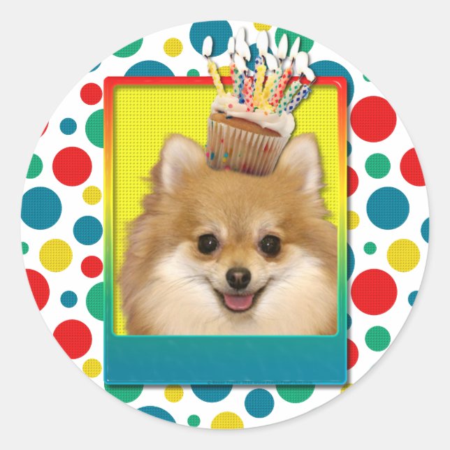 Sticker Rond Cupcake d'anniversaire - Pomeranian (Devant)