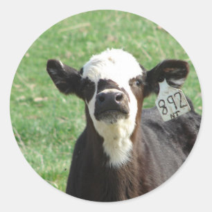 Sticker Rond Cute Calf