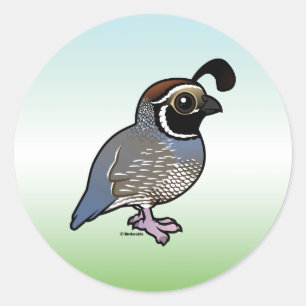Sticker Rond Cute California Quail