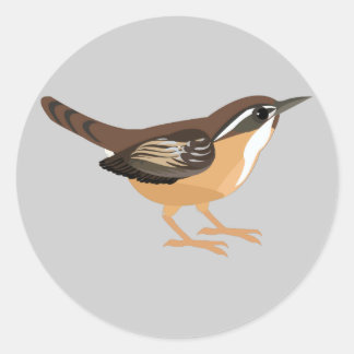 Sticker Rond Cute Carolina Wren