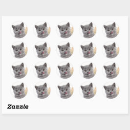 Sticker Rond Cute cat 