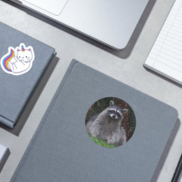 Sticker Rond Cute Forest Raccoon Photo Faune