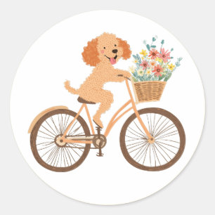 Sticker Rond Cute Goldendoodle Chien Vélo Fleurs de printemps
