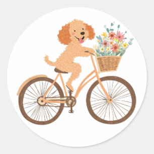 Sticker Rond Cute Goldendoodle Chien Vélo Fleurs de printemps