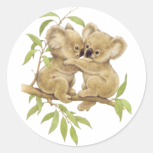 Sticker Rond Cute Koalas