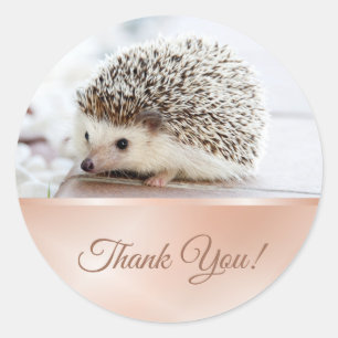 Sticker Rond Cute Rose de Hedgehog Gold