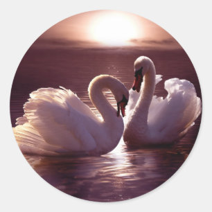 Sticker Rond Cygnes affectueux formant un coeur