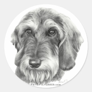 Sticker Rond Dachshund à fil