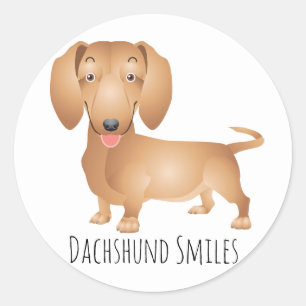 Sticker Rond Dachshund Chien Chien Chien Souriant, Bonjour, Pen