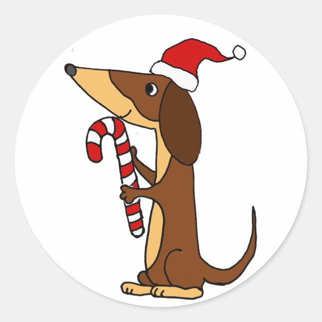 Sticker Rond Dachshund Chien mignon en chapeau de Noël (Devant)